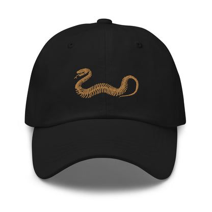 REASONABLE FEAR - Dad Hat