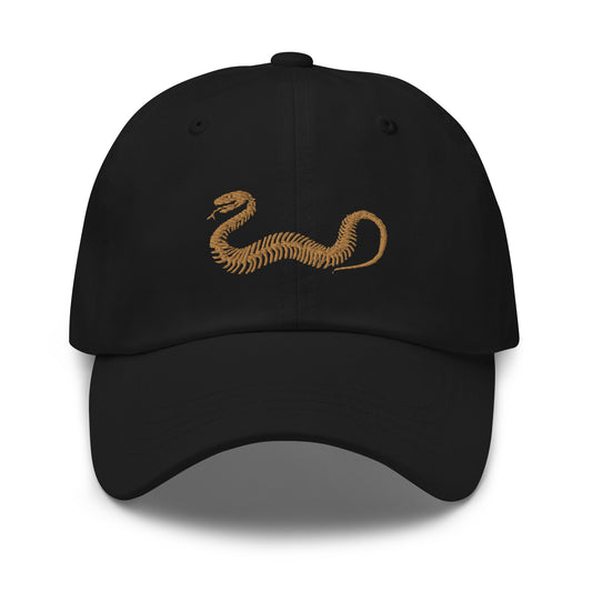 REASONABLE FEAR - Dad Hat